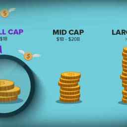 Large Cap Mid Cap and Small Cap.